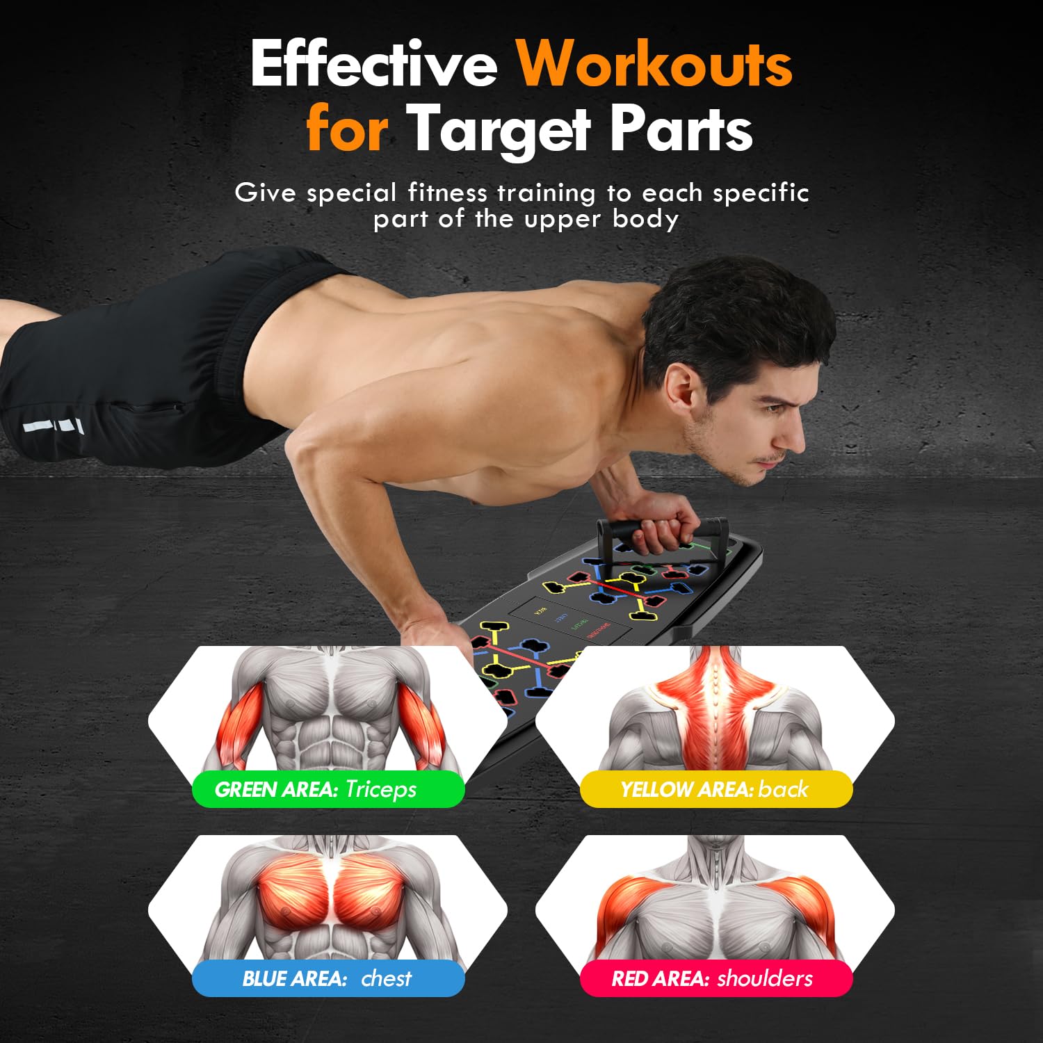 Push Up Board Home Gym Set – Portable Full Body Workout System with Resistance Bands