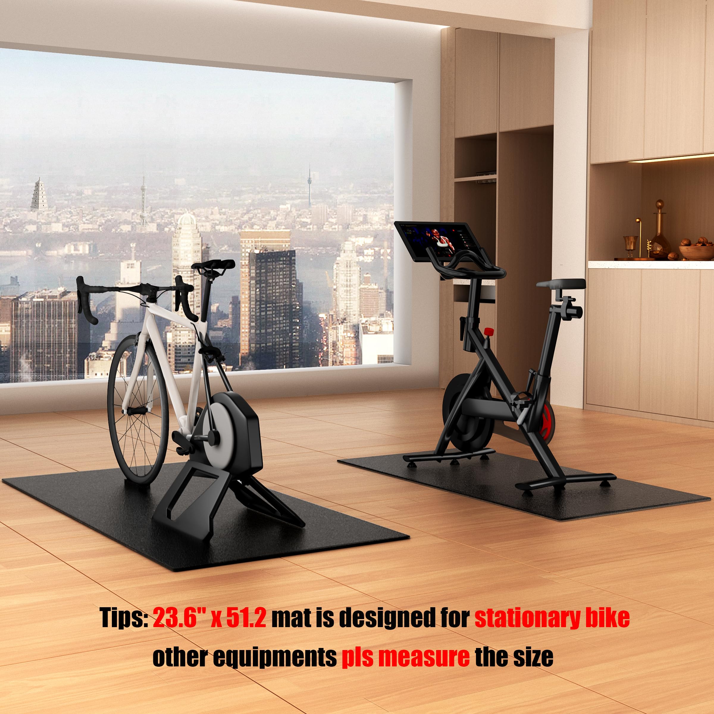 Exercise Bike & Treadmill Floor Mat – 6mm Hardwood Floor & Carpet Protector
